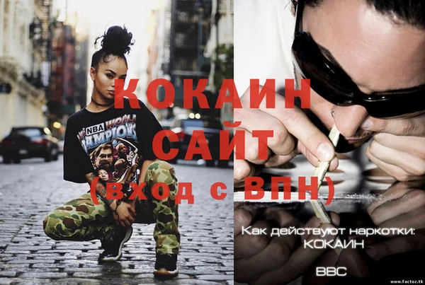 сатива Вязники
