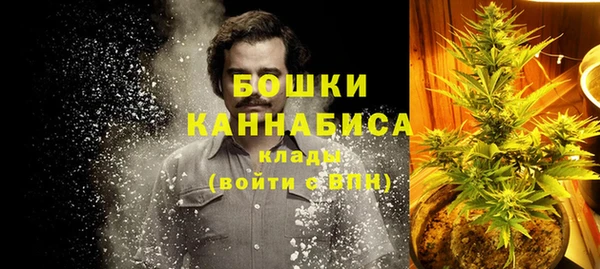 дмт Вяземский