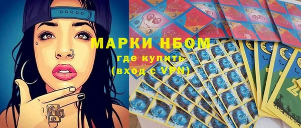 дмт Вяземский