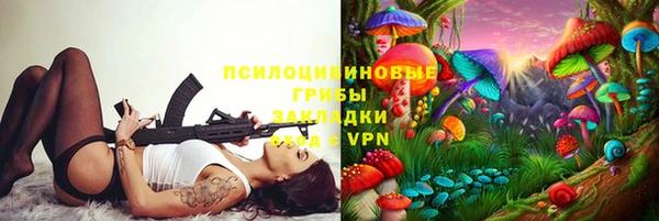 дмт Вяземский