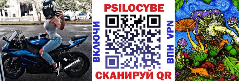 Псилоцибиновые грибы Psilocybe  закладки  сайты даркнета Telegram  Завитинск 
